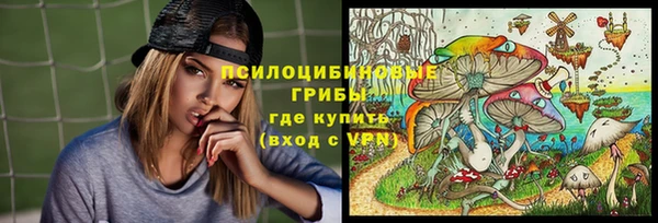 гидра Алзамай